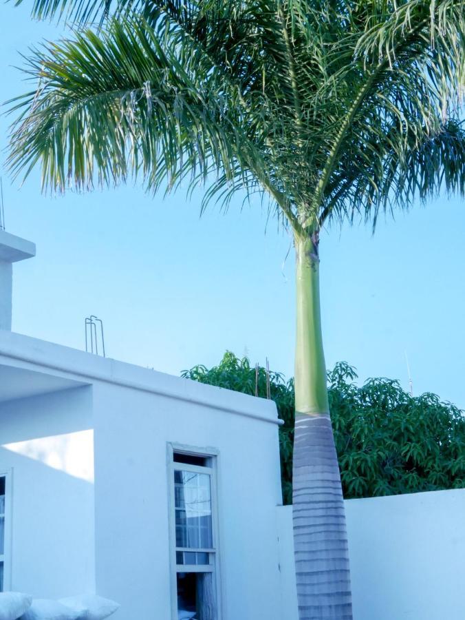 Hotel La Huerta Río Verde Exterior photo